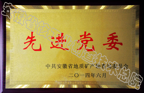 2014先进党委
