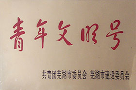 2011青年文明号