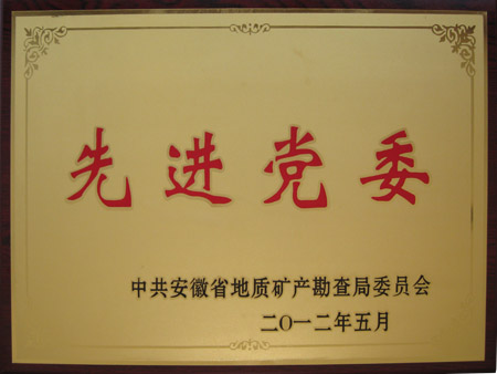 2012先进党委