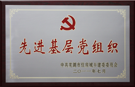 2011先进基层党组织
