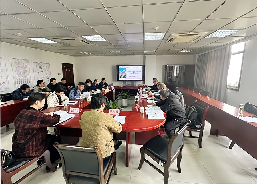 “六安市磨子潭-河棚一带某矿调查评价”项目顺利通过成果报告评审