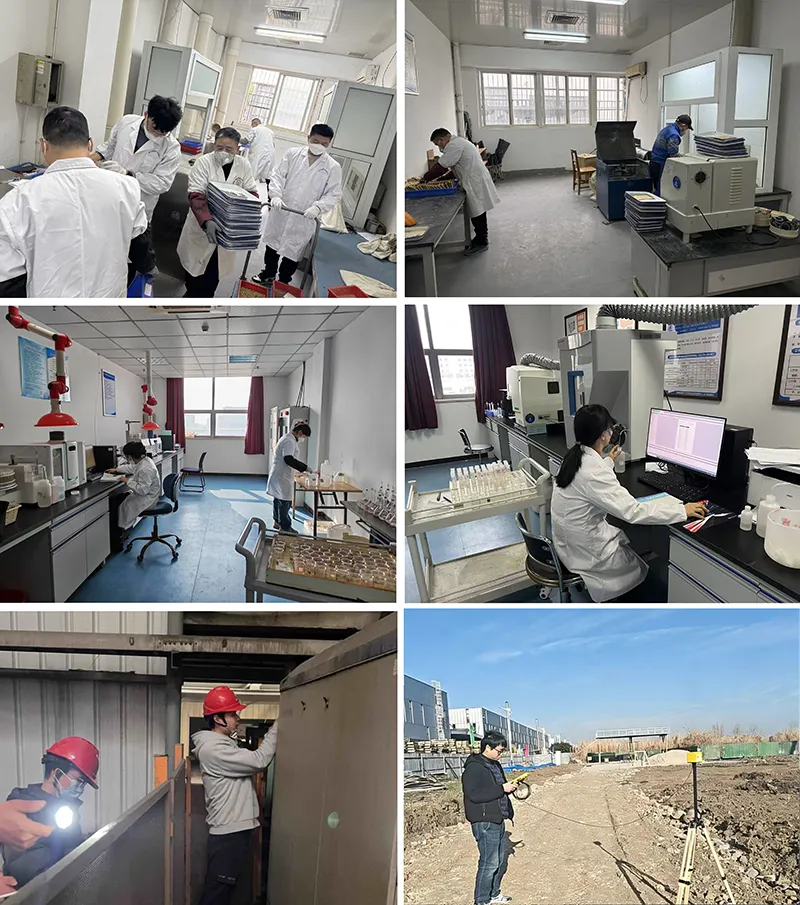 实干践初心　奋进启新程