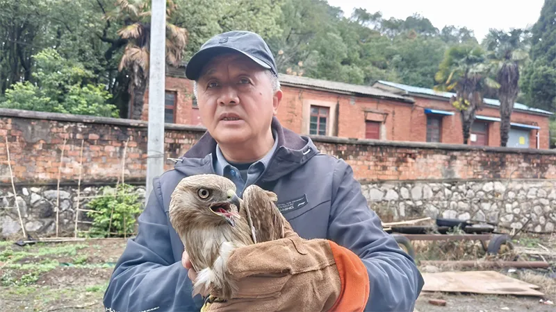 车间惊现“不速之客”，职工携手救助国家二级保护动物