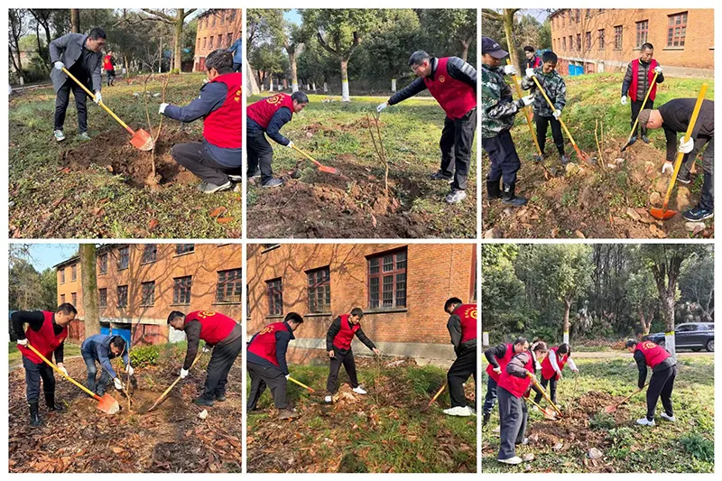 不负春光添新绿　义务植树育生机