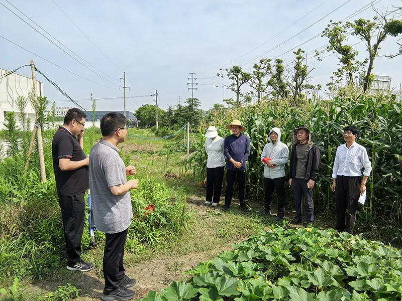 党建领航强根基　守安提质促发展